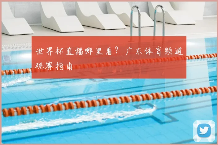 世界杯直播哪里看？广东体育频道观赛指南
