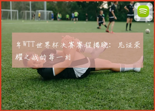 年WTT世界杯决赛赛程揭晓：见证荣耀之战的每一刻