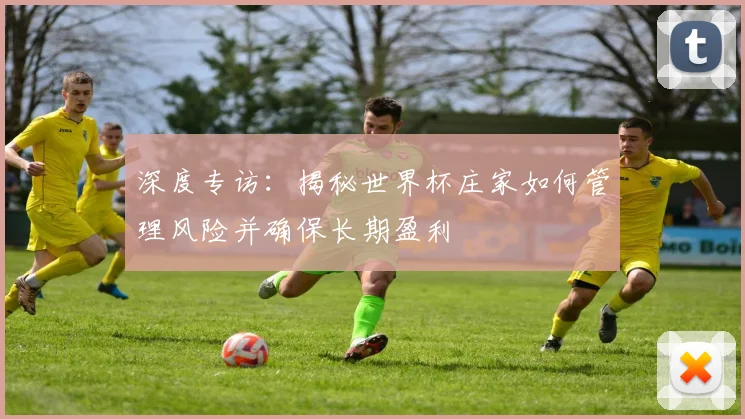 深度专访：揭秘世界杯庄家如何管理风险并确保长期盈利