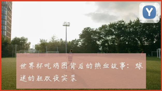 世界杯吃鸡图背后的热血故事：球迷的狂欢夜实录