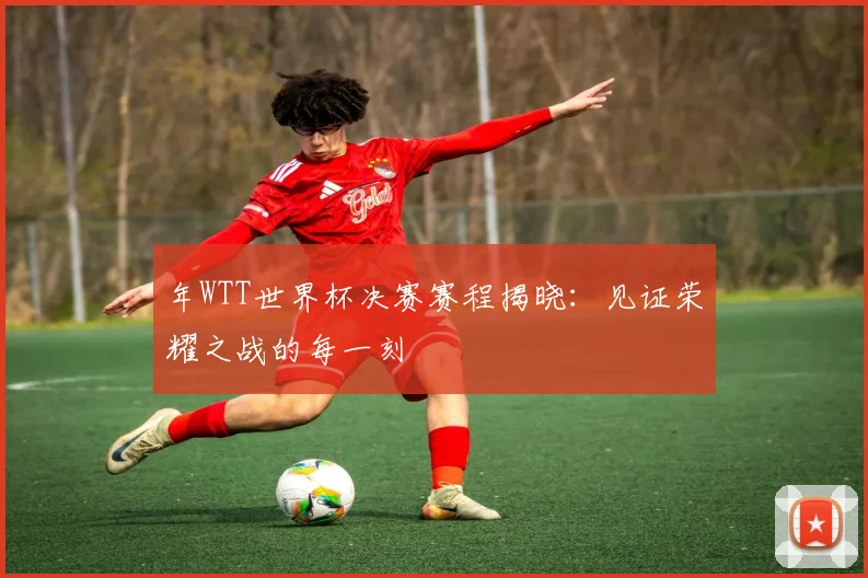 年WTT世界杯决赛赛程揭晓：见证荣耀之战的每一刻