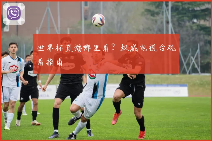 世界杯直播哪里看？权威电视台观看指南