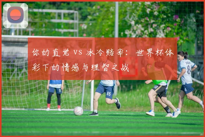 你的直觉 vs 冰冷赔率：世界杯体彩下的情感与理智之战