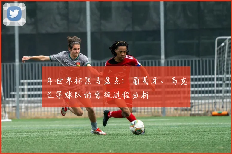 年世界杯黑马盘点：葡萄牙、乌克兰等球队的晋级进程分析